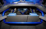 focus-rs-cage-2.jpg